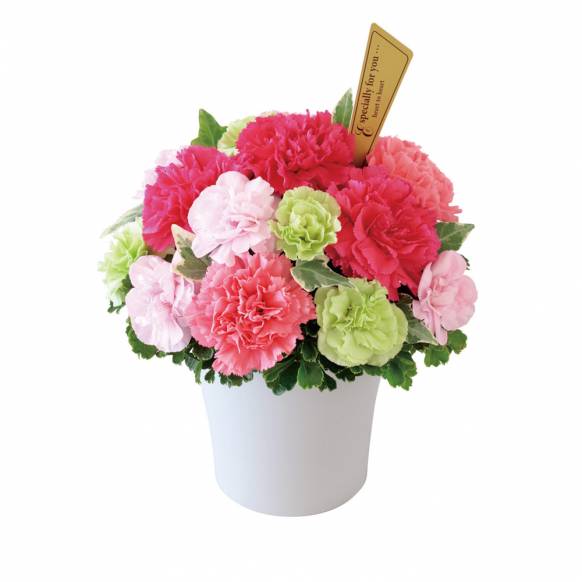 花キューピット加盟店 店舗名：花の店花時計
フラワーギフト商品番号：521337
商品名：グラマラス（ピンク）